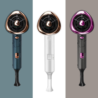 Professional Negative Ion Hair Dryer for Home Use